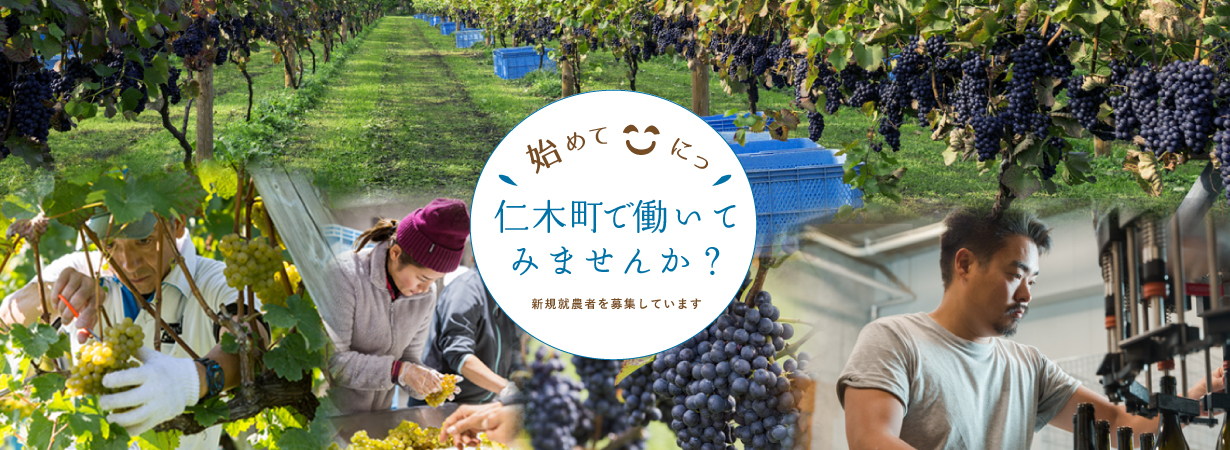 始めて「にっ」、仁木町で働いてみませんか? 新規就農を募集しています。